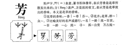 左 青龍 廚房 芳字五行